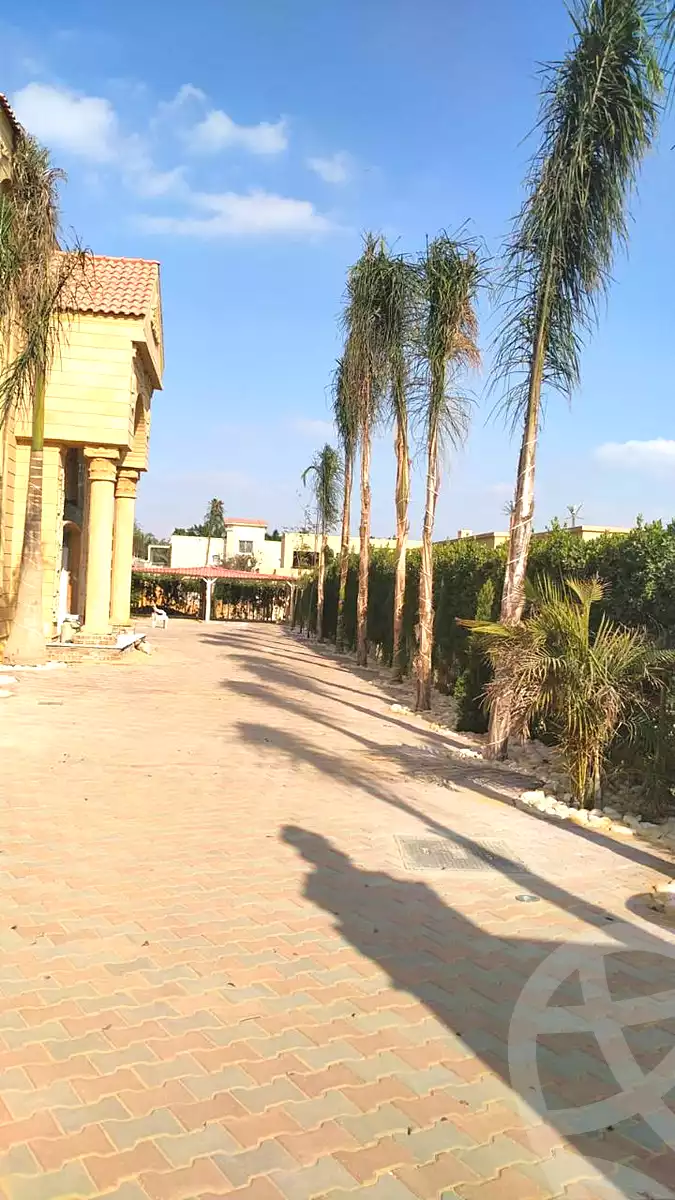 فيلا بـ٦ غرف نوم في وادي النخيل، صورة ١٩ من ٢٤