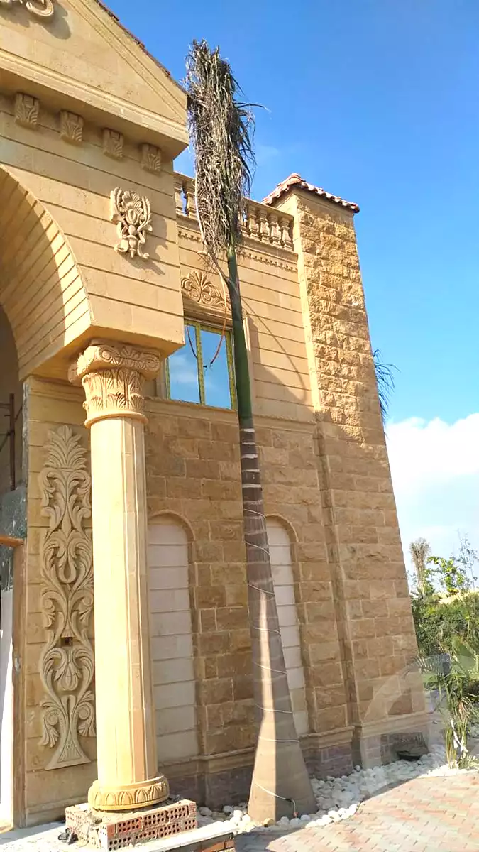 فيلا بـ٦ غرف نوم في وادي النخيل، صورة ٢٢ من ٢٤