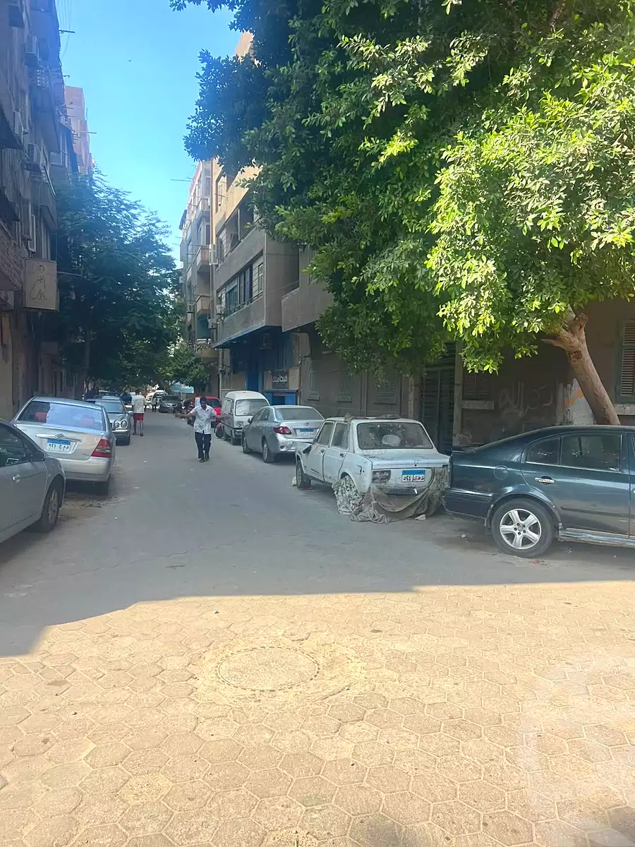https://aqarmap.com.eg/en/listing/7206696-for-sale-cairo-manial-el-rawda-st