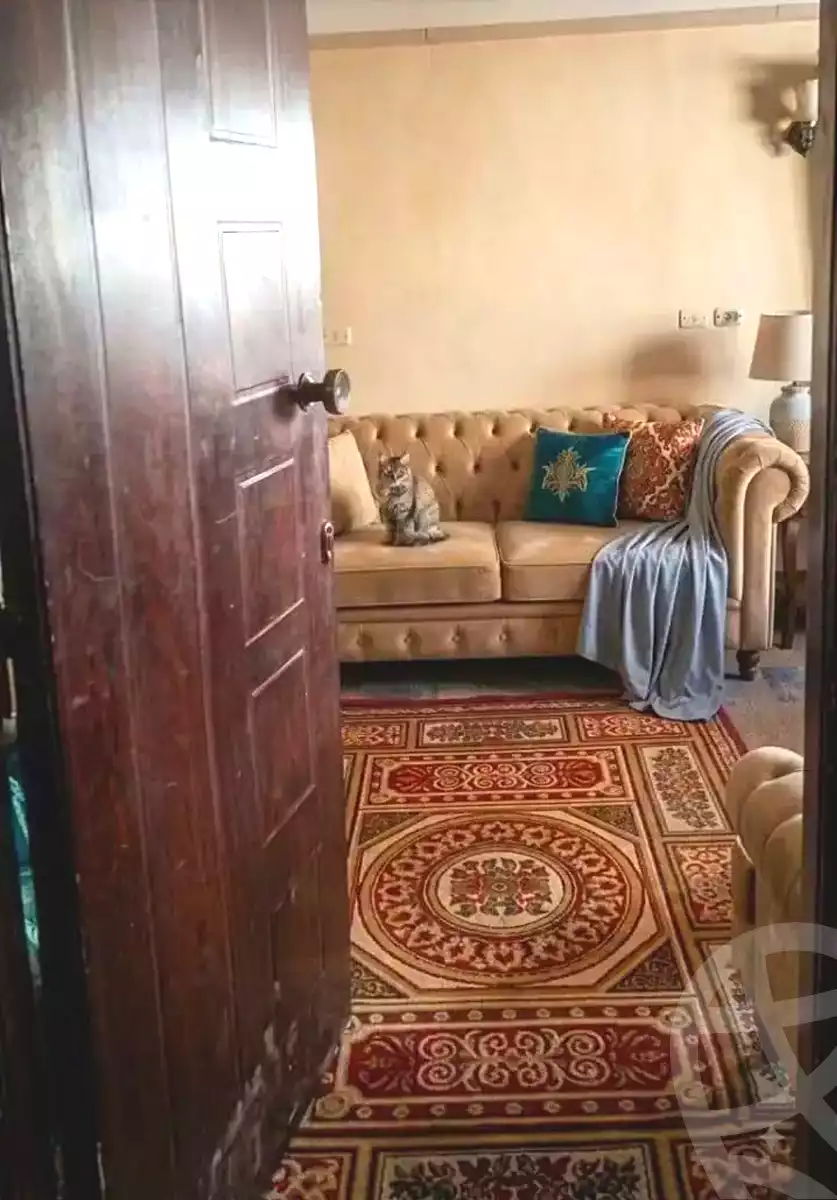 https://aqarmap.com.eg/en/listing/7207278-for-sale-alexandria-el-mandara-alex-el-mandara-bahri-nemat-allah-st