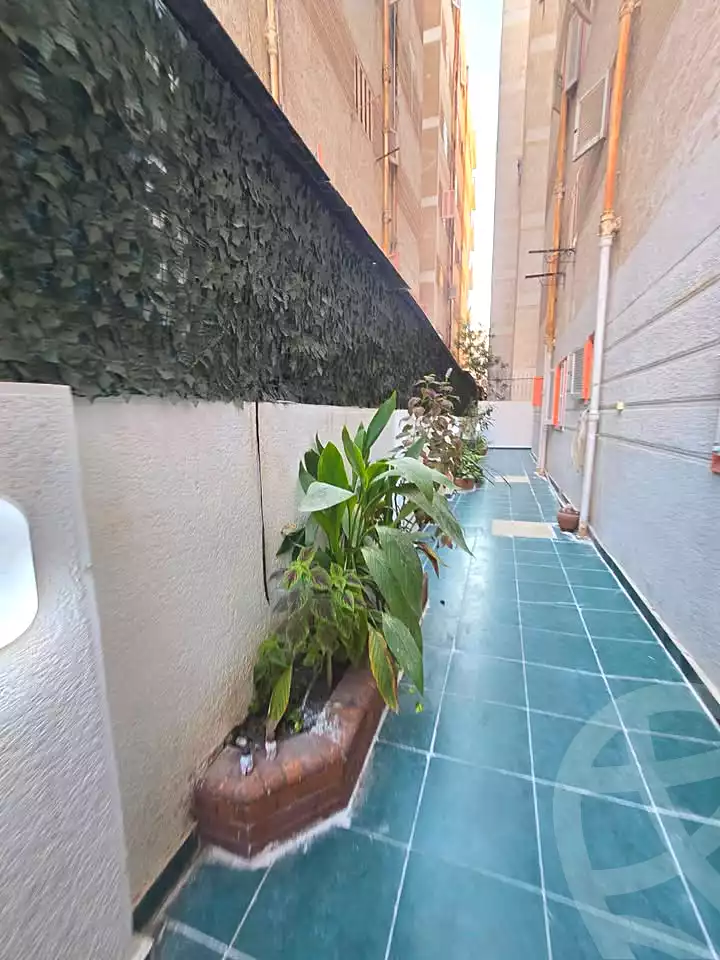 https://aqarmap.com.eg/en/listing/7208225-for-sale-alexandria-al-agamy-shataa-el-nakheel