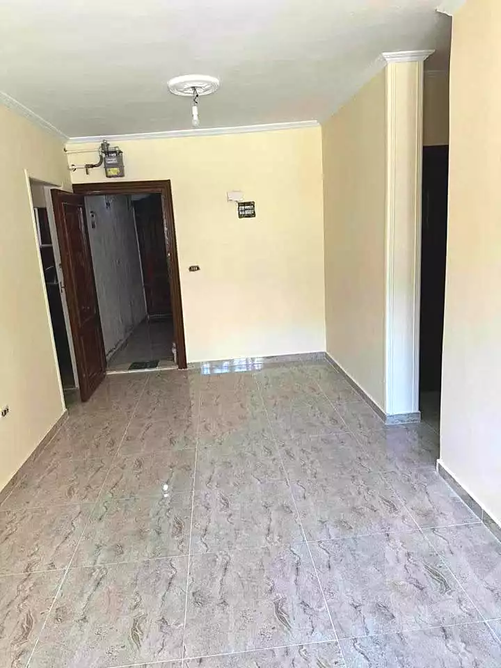 https://aqarmap.com.eg/en/listing/7208811-for-sale-alexandria-ganaklis