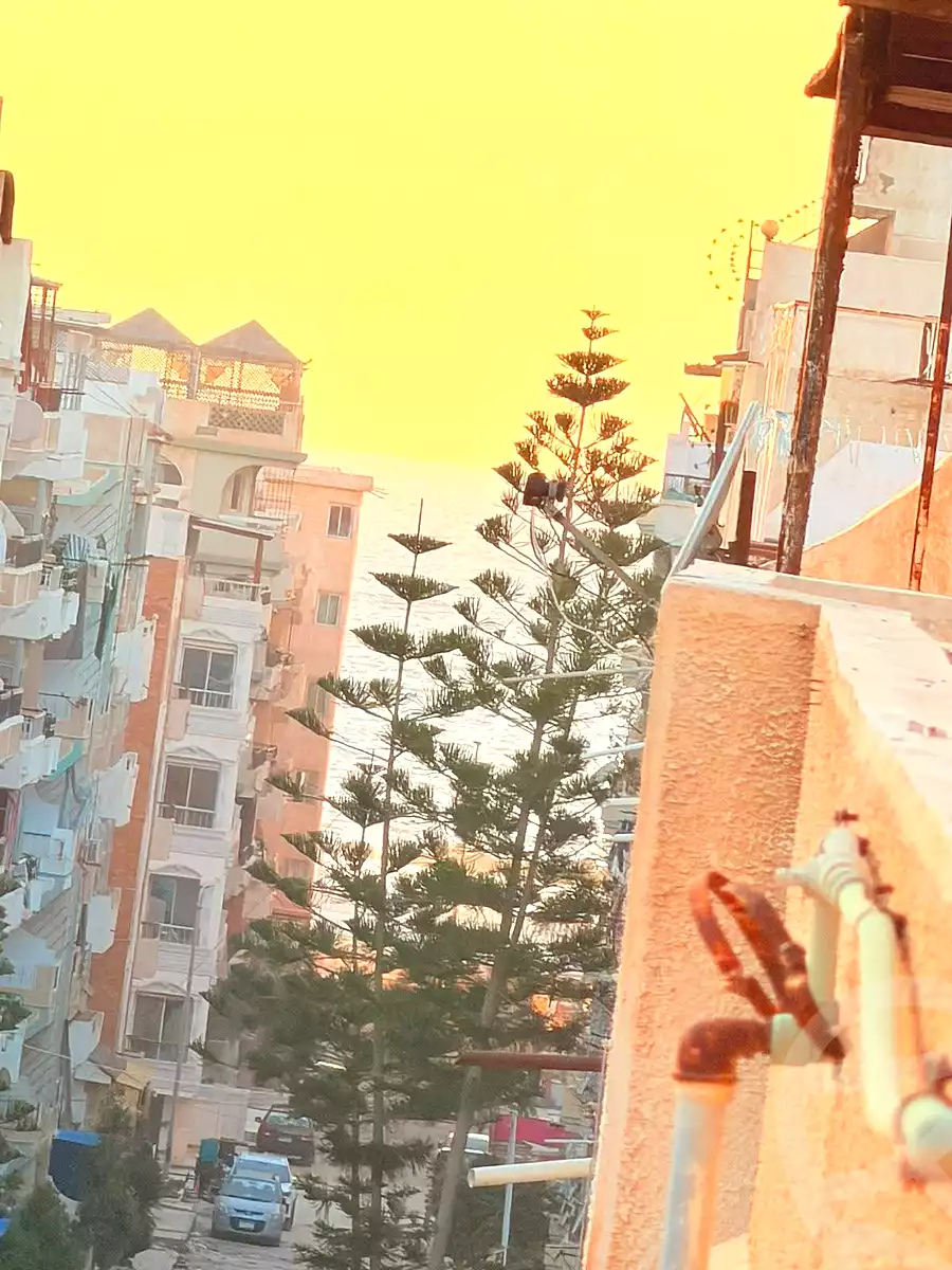 https://aqarmap.com.eg/ar/listing/7209040-for-sale-alexandria-al-agamy-shataa-el-nakheel