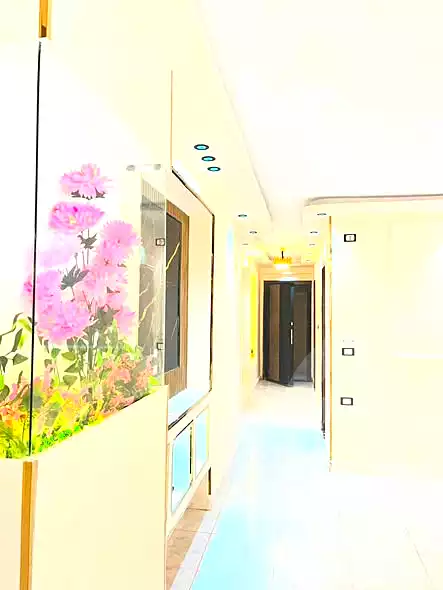 https://aqarmap.com.eg/en/listing/7209945-for-sale-cairo-ain-shams-mnshy-lthryr