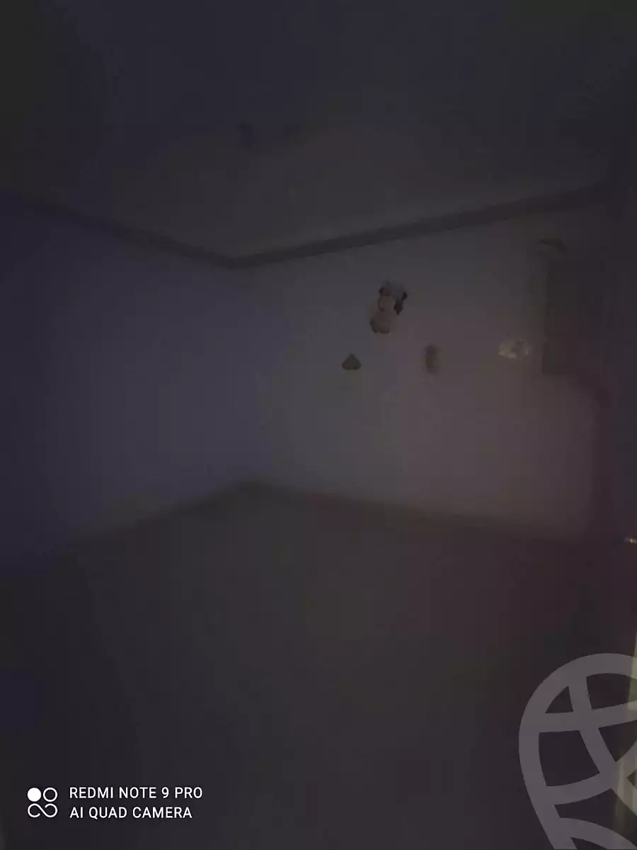 https://aqarmap.com.eg/ar/listing/7210920-for-sale-alexandria-miami-mahmoud-el-isawy-st