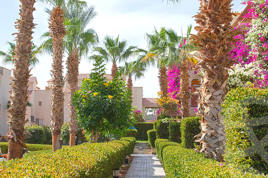 https://aqarmap.com.eg/ar/listing/7216396-for-sale-red-sea-sahl-hasheesh-sahl-hasheesh-resorts-veranda