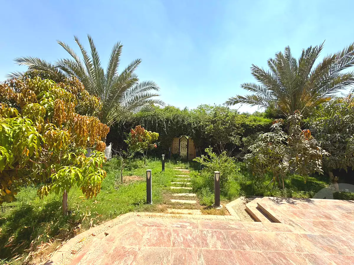 5 BR Villa in Madinaty, photo 51 of 54