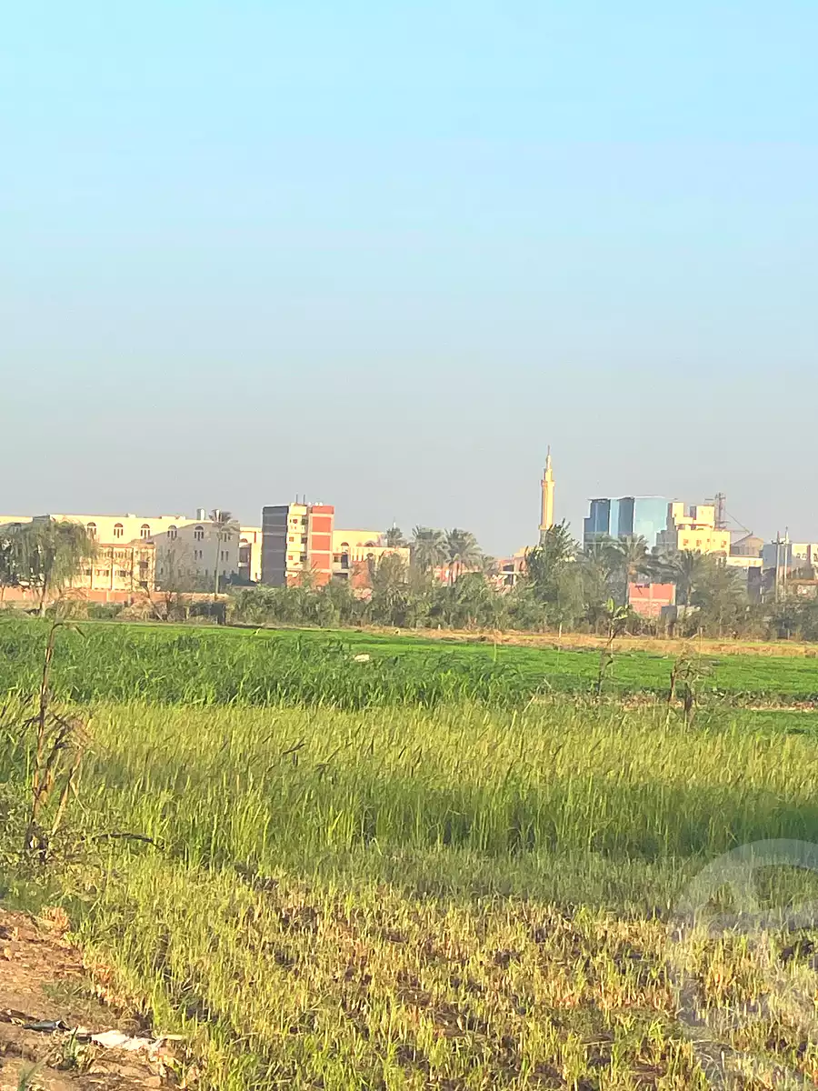 https://aqarmap.com.eg/en/listing/7049475-for-sale-dakahlia-mit-ghamr-met-el-korashi