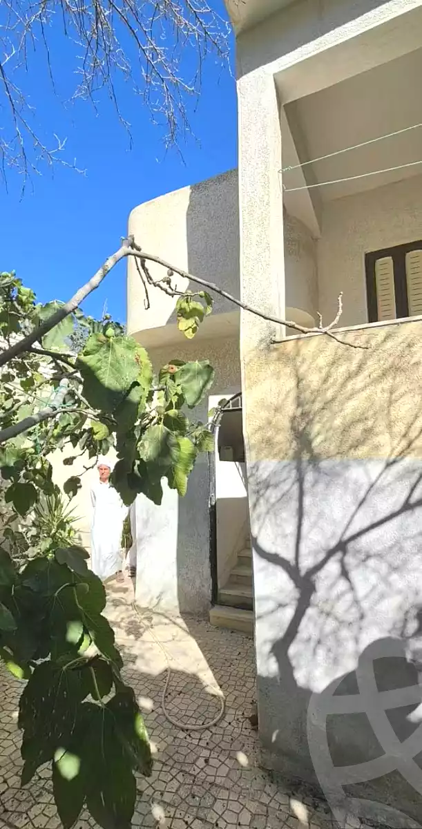 https://aqarmap.com.eg/en/listing/7218064-for-sale-alexandria-abu-talat