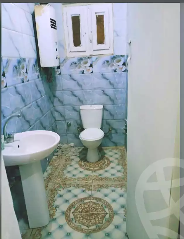 https://aqarmap.com.eg/en/listing/7218355-for-rent-cairo-faisal-el-maryotyah
