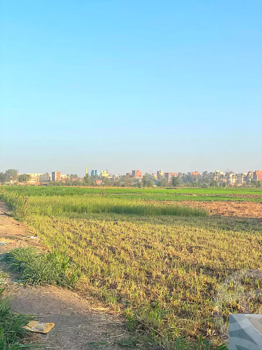https://aqarmap.com.eg/en/listing/7049475-for-sale-dakahlia-mit-ghamr-met-el-korashi