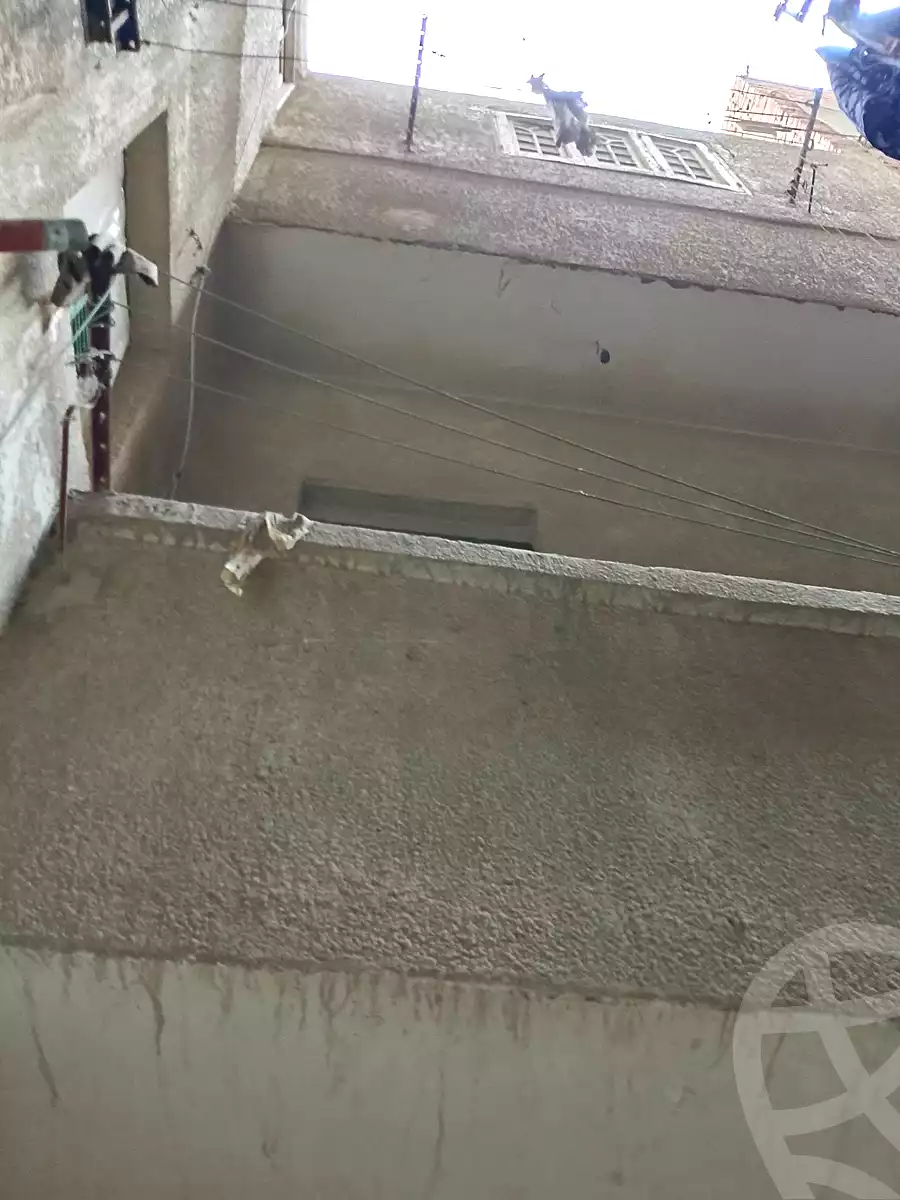 https://aqarmap.com.eg/ar/listing/7221957-for-sale-cairo-ain-shams-ain-shams-el-sharkia-el-zahraa-st