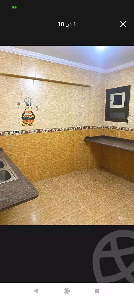 https://aqarmap.com.eg/en/listing/7222459-for-rent-alexandria-al-agamy-lbytsh-bianchiii