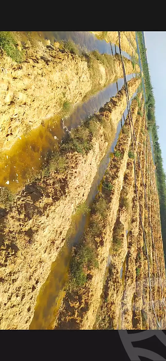 https://aqarmap.com.eg/ar/listing/7226509-for-sale-beheira-new-nubariya-el-yasha-village