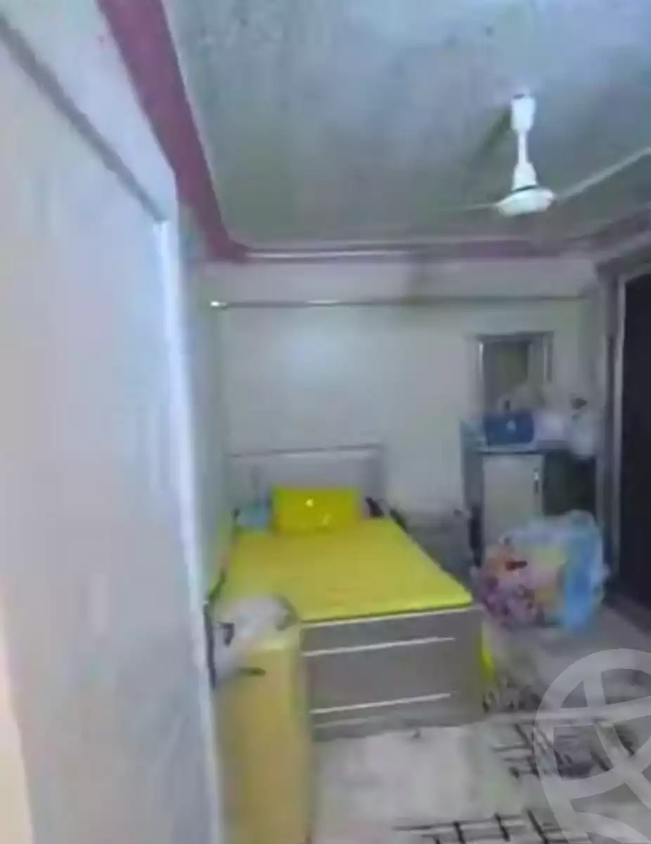 https://aqarmap.com.eg/en/listing/7227828-for-sale-cairo-ain-shams-jsr-lswys-kamal-hegab-st