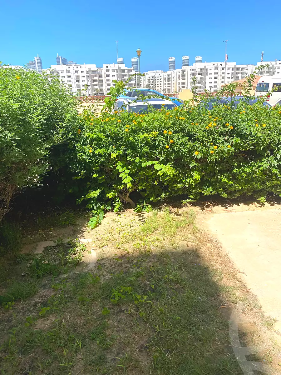 https://aqarmap.com.eg/ar/listing/7230553-for-sale-north-coast-resorts-stella-marina