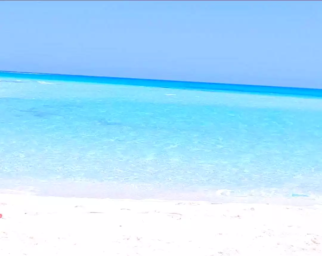 https://aqarmap.com.eg/ar/listing/7230859-for-sale-north-coast-resorts-safia-resort-il-cazar