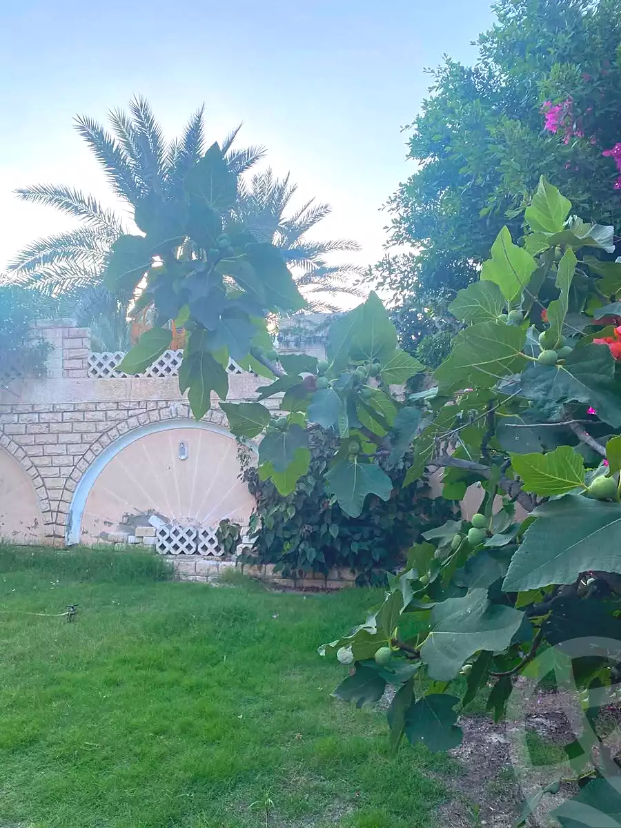 https://aqarmap.com.eg/en/listing/7233184-for-sale-alexandria-al-agamy-lbytsh-el-hanafeya-st