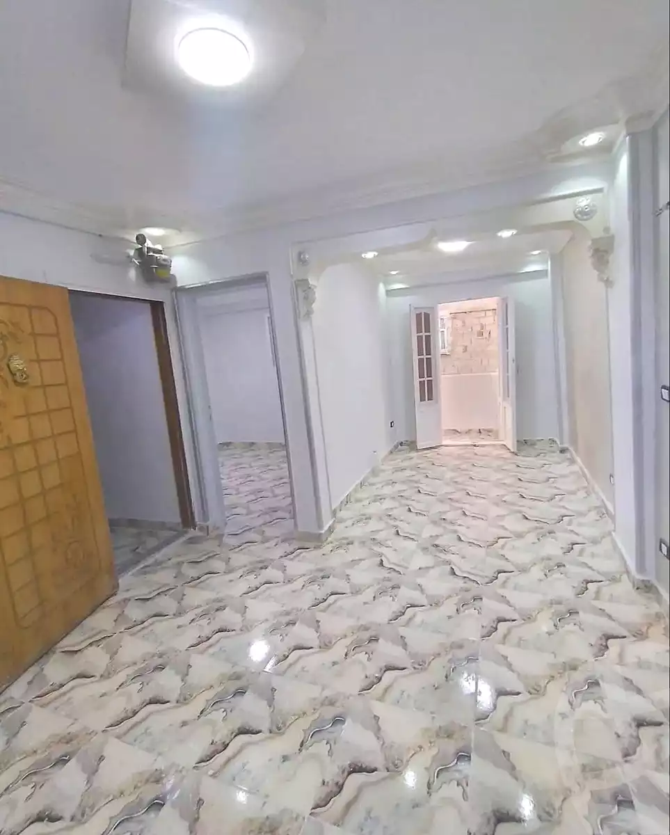https://aqarmap.com.eg/en/listing/7233827-for-sale-alexandria-lsywf