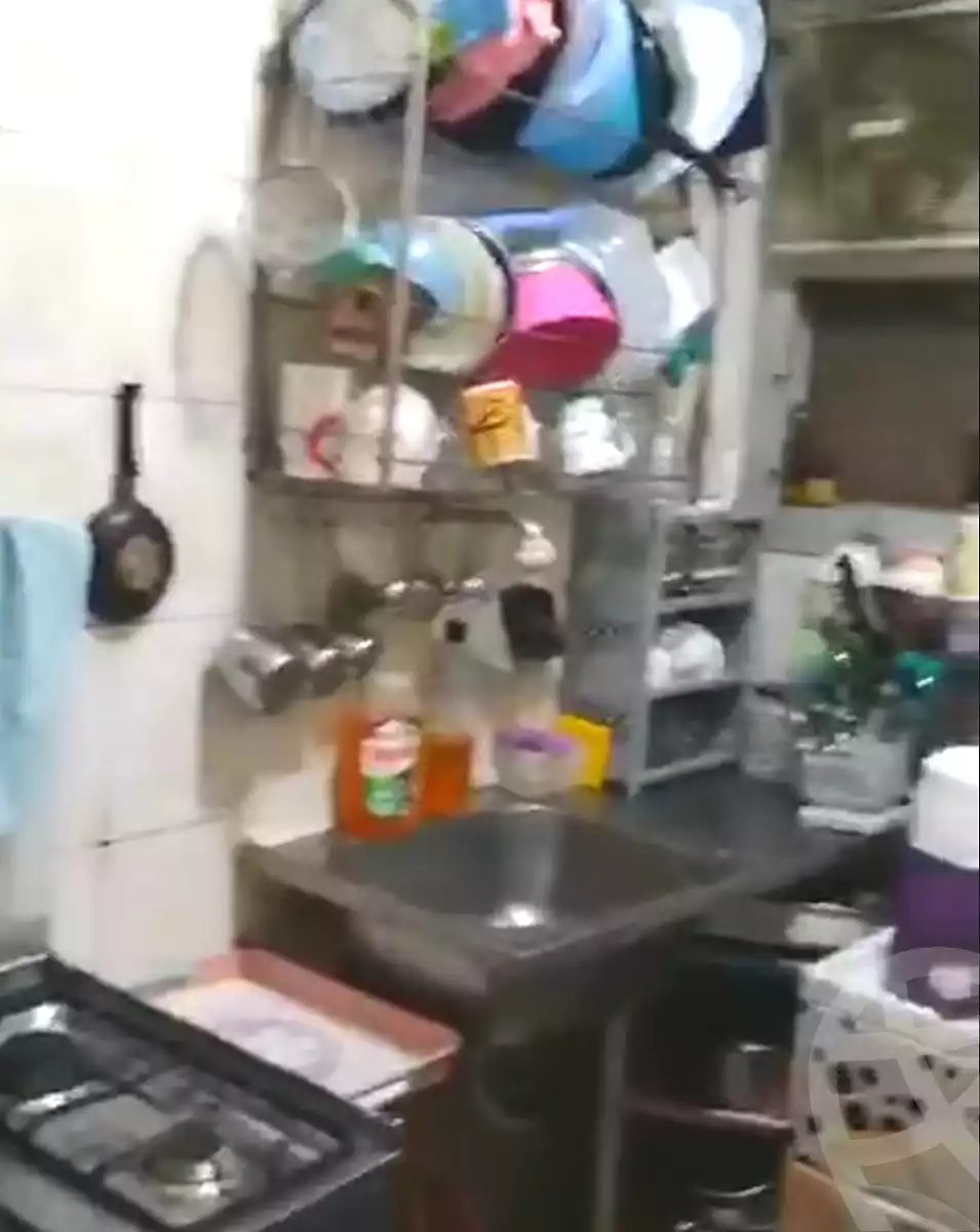 https://aqarmap.com.eg/en/listing/7234652-for-sale-cairo-ain-shams-mnshy-lthryr
