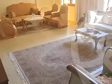 https://aqarmap.com.eg/ar/listing/7236310-for-sale-cairo-nasr-city-mostafa-el-nahaas-st