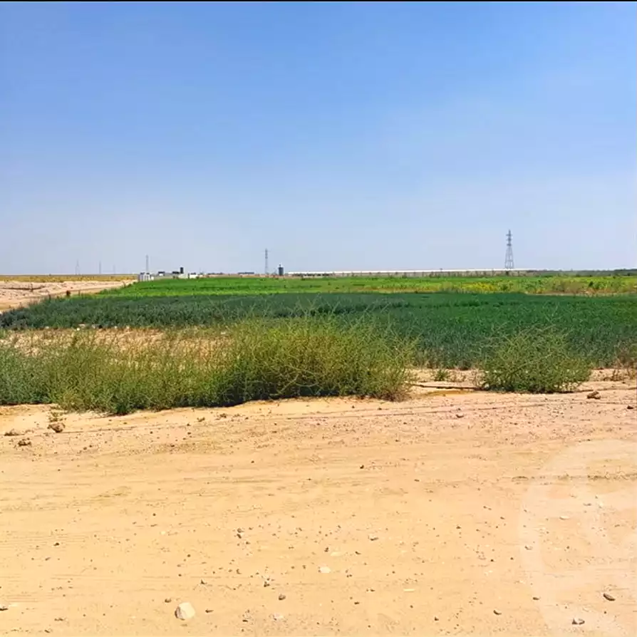https://aqarmap.com.eg/en/listing/7236575-for-sale-beni-suef-el-wasta