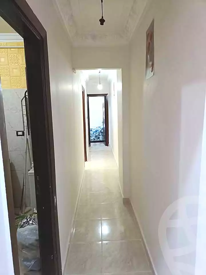 https://aqarmap.com.eg/en/listing/7236987-for-rent-alexandria-miami