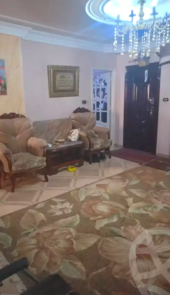 https://aqarmap.com.eg/en/listing/7238513-for-sale-alexandria-mansheya
