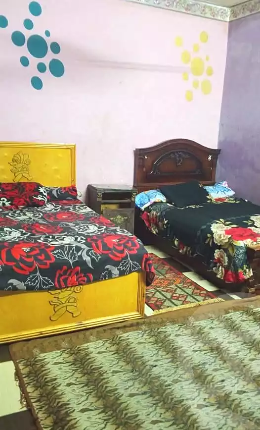 https://aqarmap.com.eg/ar/listing/7239004-for-rent-cairo-el-haram-bolak-el-dakror-amer-city-st