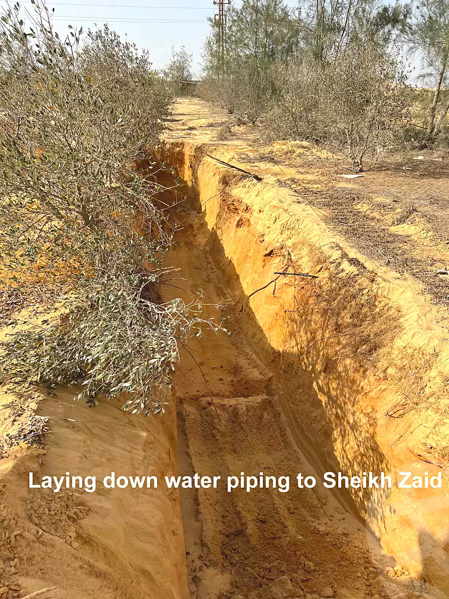https://aqarmap.com.eg/en/listing/7239834-for-sale-cairo-el-sheikh-zayed-city-alex-cairo-desert-road-mdyn-sfnks-ljdyd