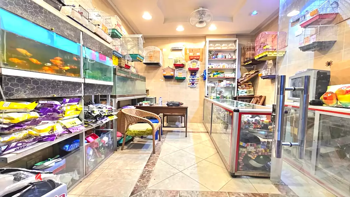 https://aqarmap.com.eg/ar/listing/7240462-for-sale-alexandria-sydy-bshr-sydy-bshr-bhry-gamal-abd-el-nasir-st