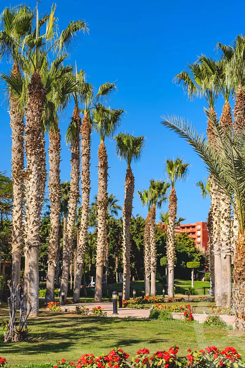 https://aqarmap.com.eg/ar/listing/7240933-for-sale-north-coast-resorts-porto-golf-marina