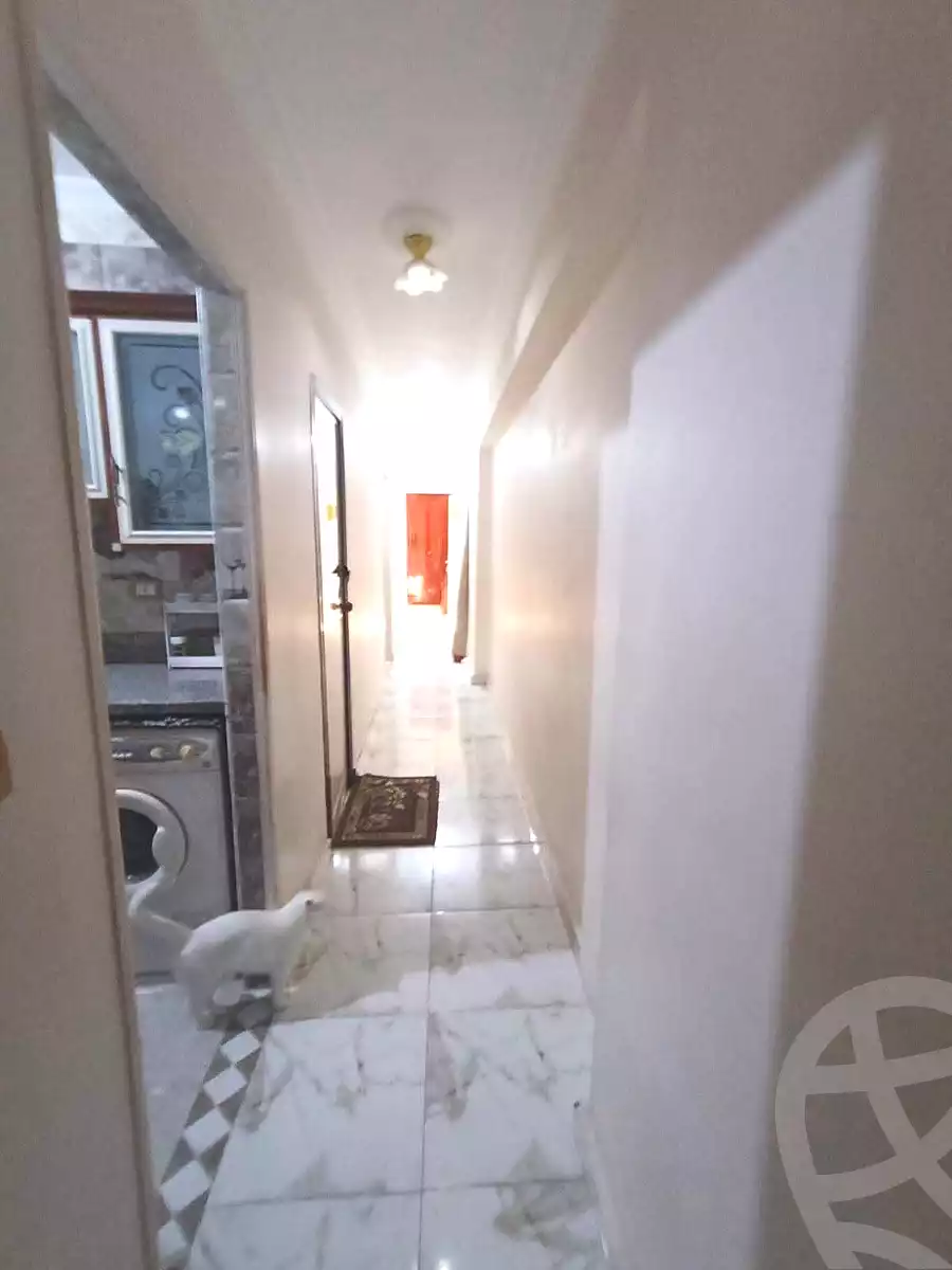 https://aqarmap.com.eg/en/listing/7245699-for-sale-alexandria-fyktwry-el-galaa-st
