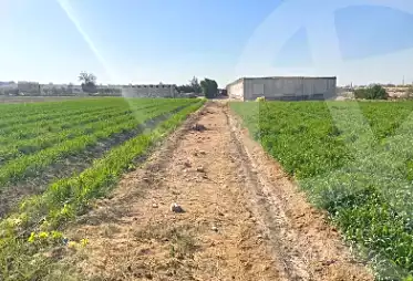 https://aqarmap.com.eg/ar/listing/7252325-for-rent-el-fayoum-tamiya-tamiyyah-city