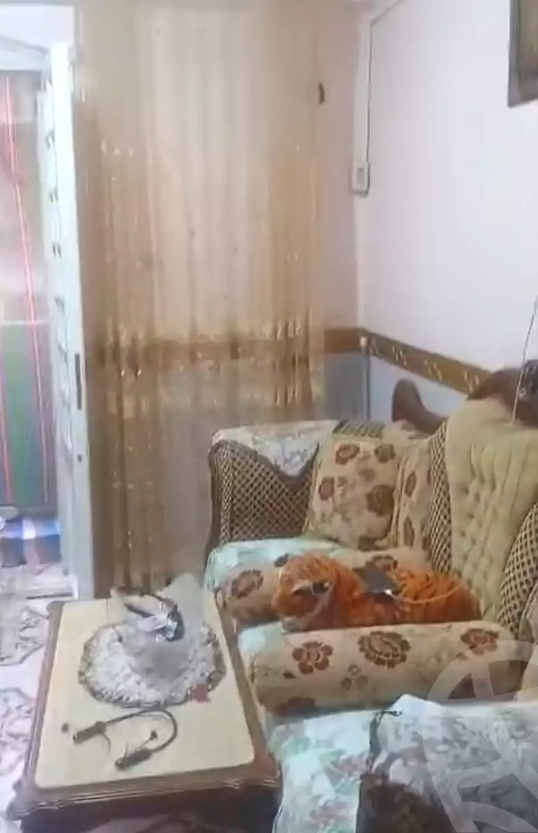 https://aqarmap.com.eg/en/listing/7254797-for-sale-alexandria-sydy-bshr-sydy-bshr-qbly-rd-lfdly