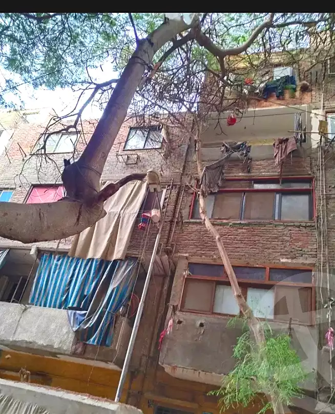 https://aqarmap.com.eg/en/listing/7257568-for-sale-cairo-el-haram-shareaa-khatem-el-morsalen