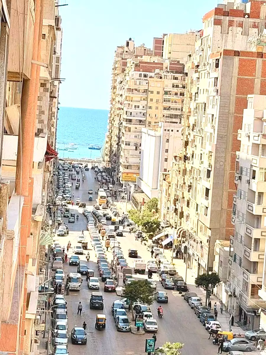 https://aqarmap.com.eg/en/listing/7257599-for-sale-alexandria-miami-iskandar-ibrahim-st