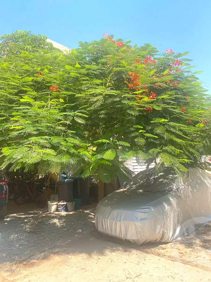 https://aqarmap.com.eg/en/listing/7258083-for-sale-cairo-el-mansuriyyah-el-saliba