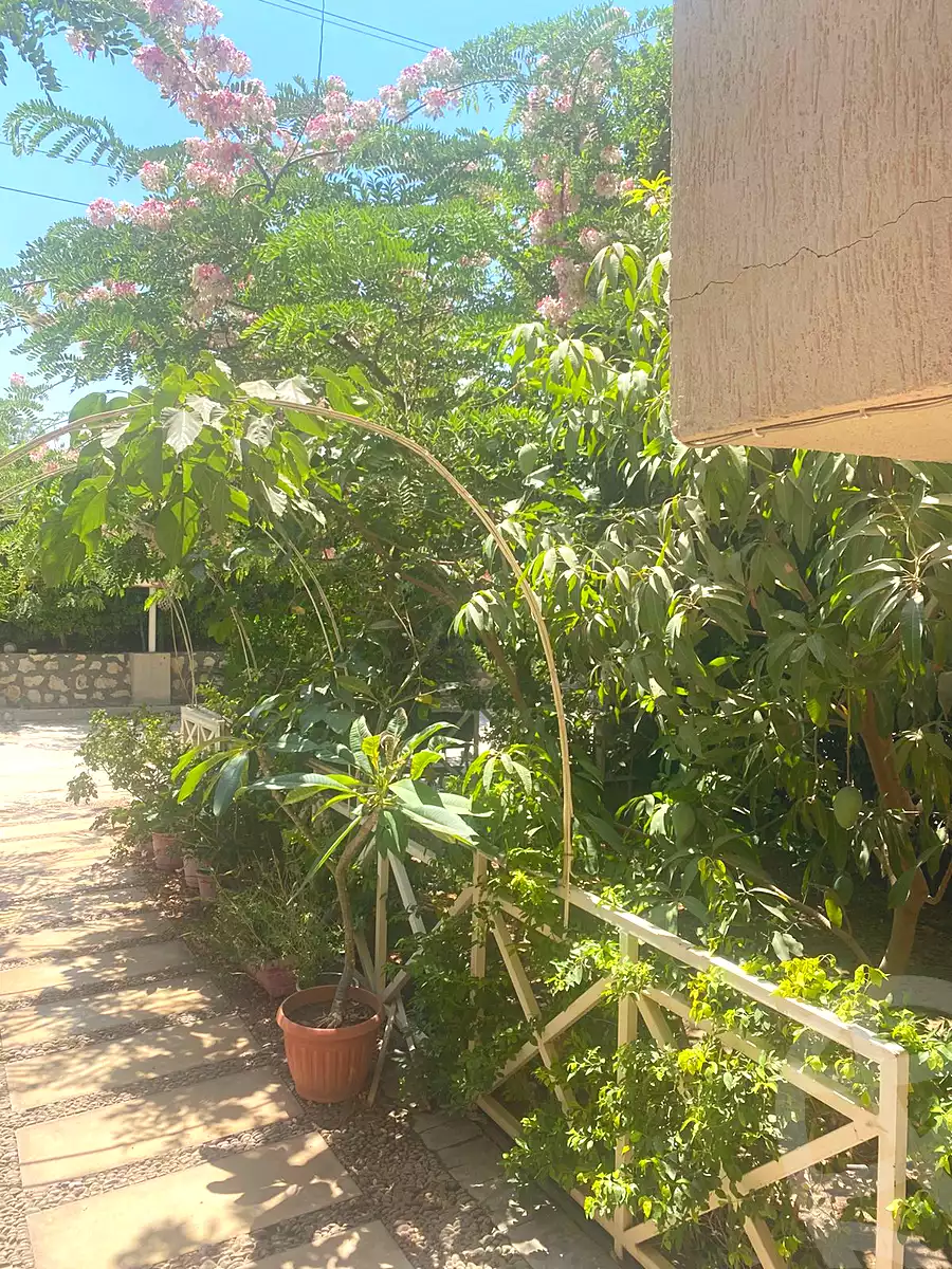 https://aqarmap.com.eg/en/listing/7258083-for-sale-cairo-el-mansuriyyah-el-saliba