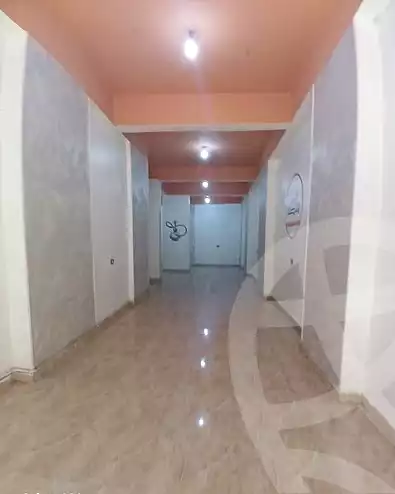 https://aqarmap.com.eg/en/listing/7259531-for-rent-alexandria-miami-45-street