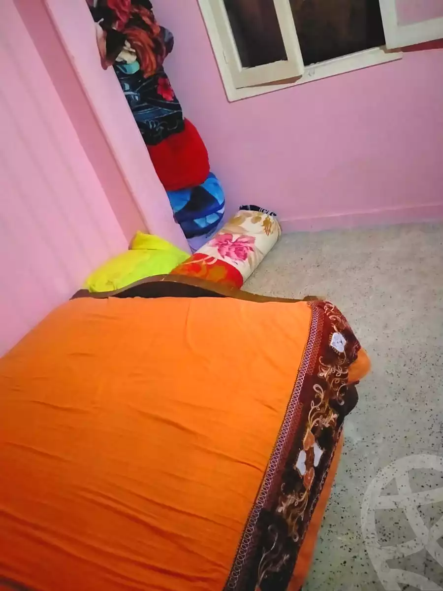 https://aqarmap.com.eg/ar/listing/7259570-for-sale-cairo-ain-shams-ain-shams-el-sharkia-el-horeya-st