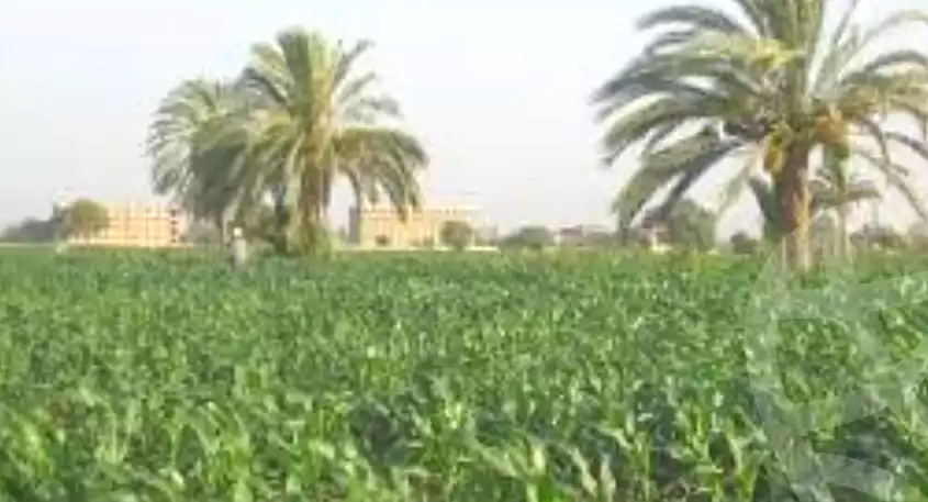 https://aqarmap.com.eg/en/listing/7260735-for-sale-beheira-abu-el-matamir-abu-el-matamir-city