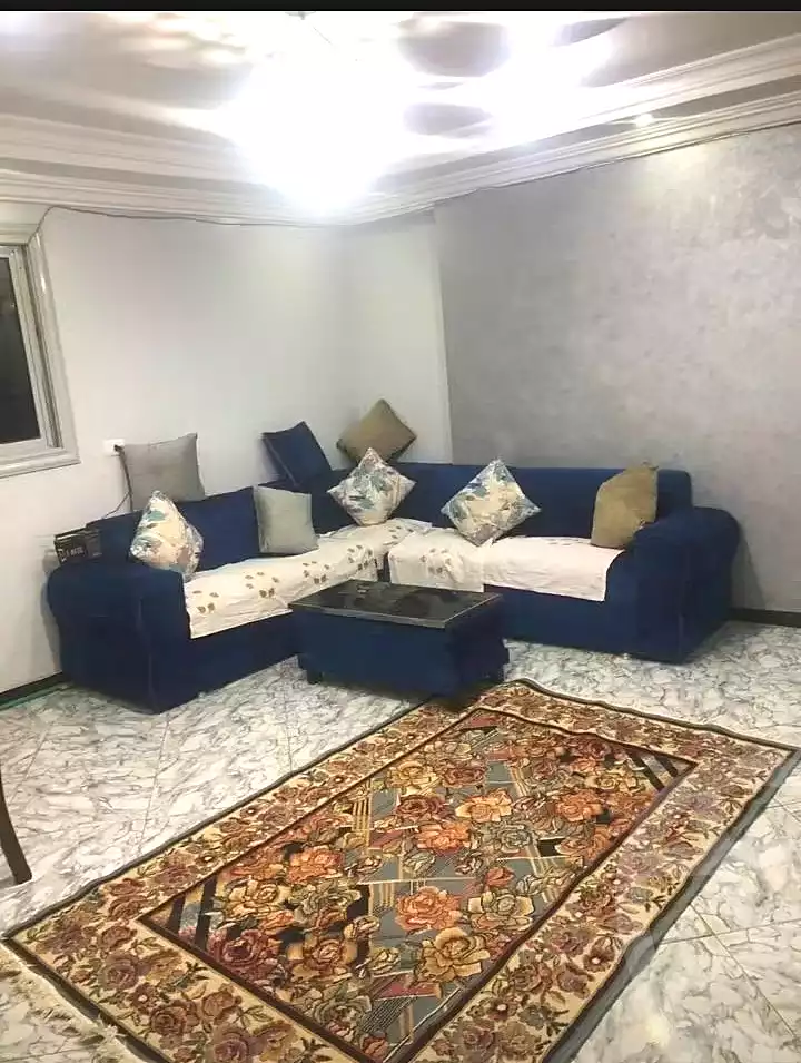 https://aqarmap.com.eg/en/listing/7261714-for-rent-cairo-faisal-el-maryotyah