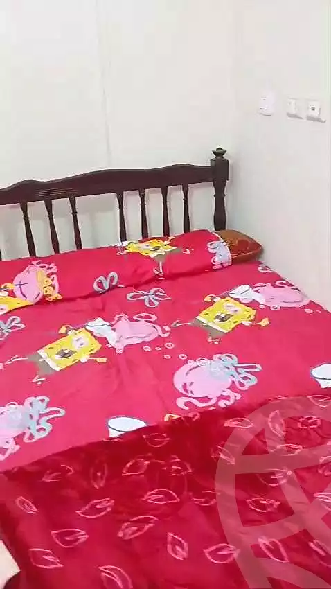 https://aqarmap.com.eg/en/listing/7261735-for-rent-cairo-el-haram-bolak-el-dakror-nahia-st