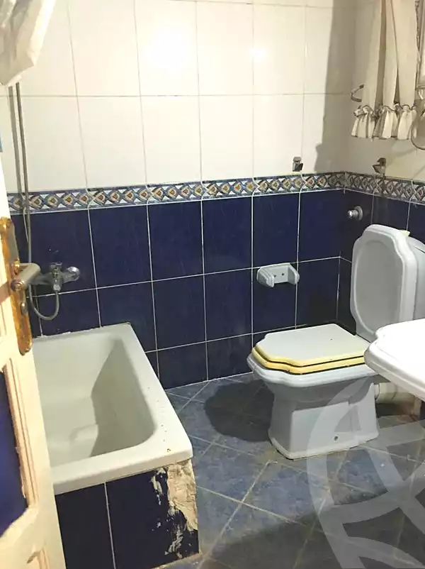 https://aqarmap.com.eg/ar/listing/7264758-for-rent-alexandria-al-agamy-lbytsh-bianchiii