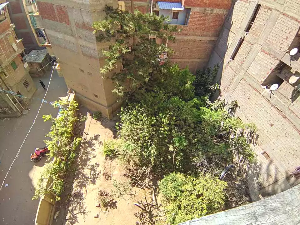 https://aqarmap.com.eg/en/listing/7265324-for-sale-alexandria-el-mandara-shr-mlk-hfny