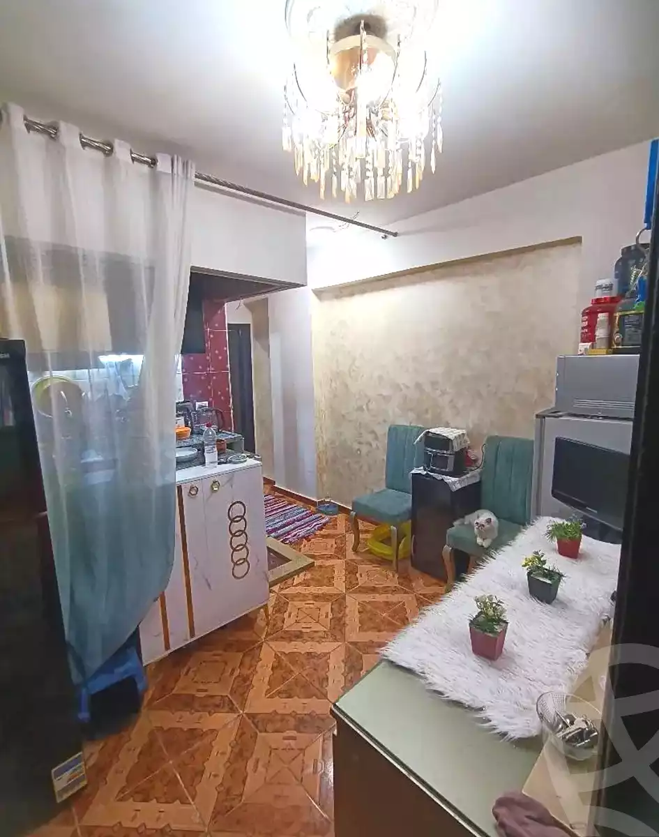 https://aqarmap.com.eg/en/listing/7265382-for-sale-alexandria-lsywf-el-falki