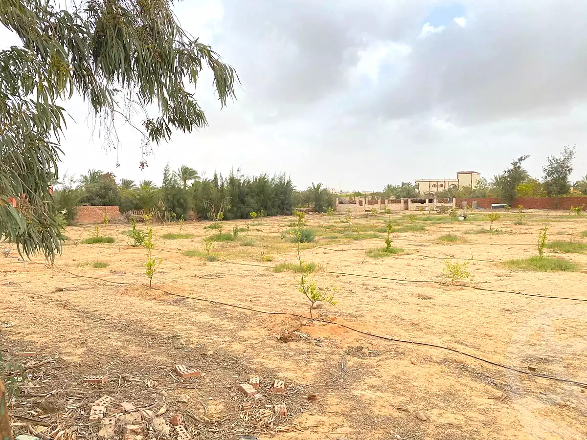 https://aqarmap.com.eg/ar/listing/7267354-for-sale-cairo-el-sheikh-zayed-city-lshykh-zyd-ljdyd-el-reef-el-oroby
