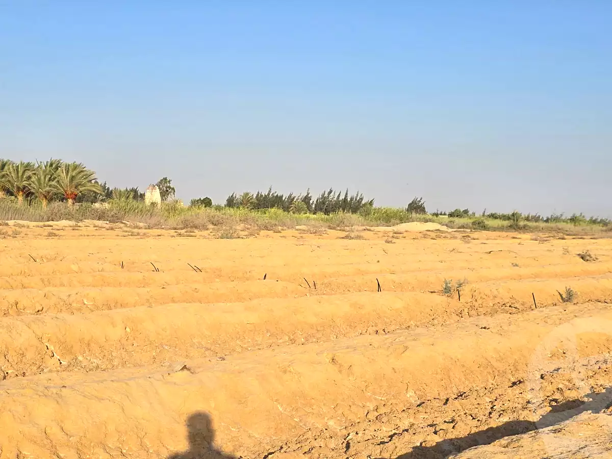 https://aqarmap.com.eg/en/listing/7267640-for-sale-beheira-wadi-el-natrun-el-safa-village-and-el-marwa