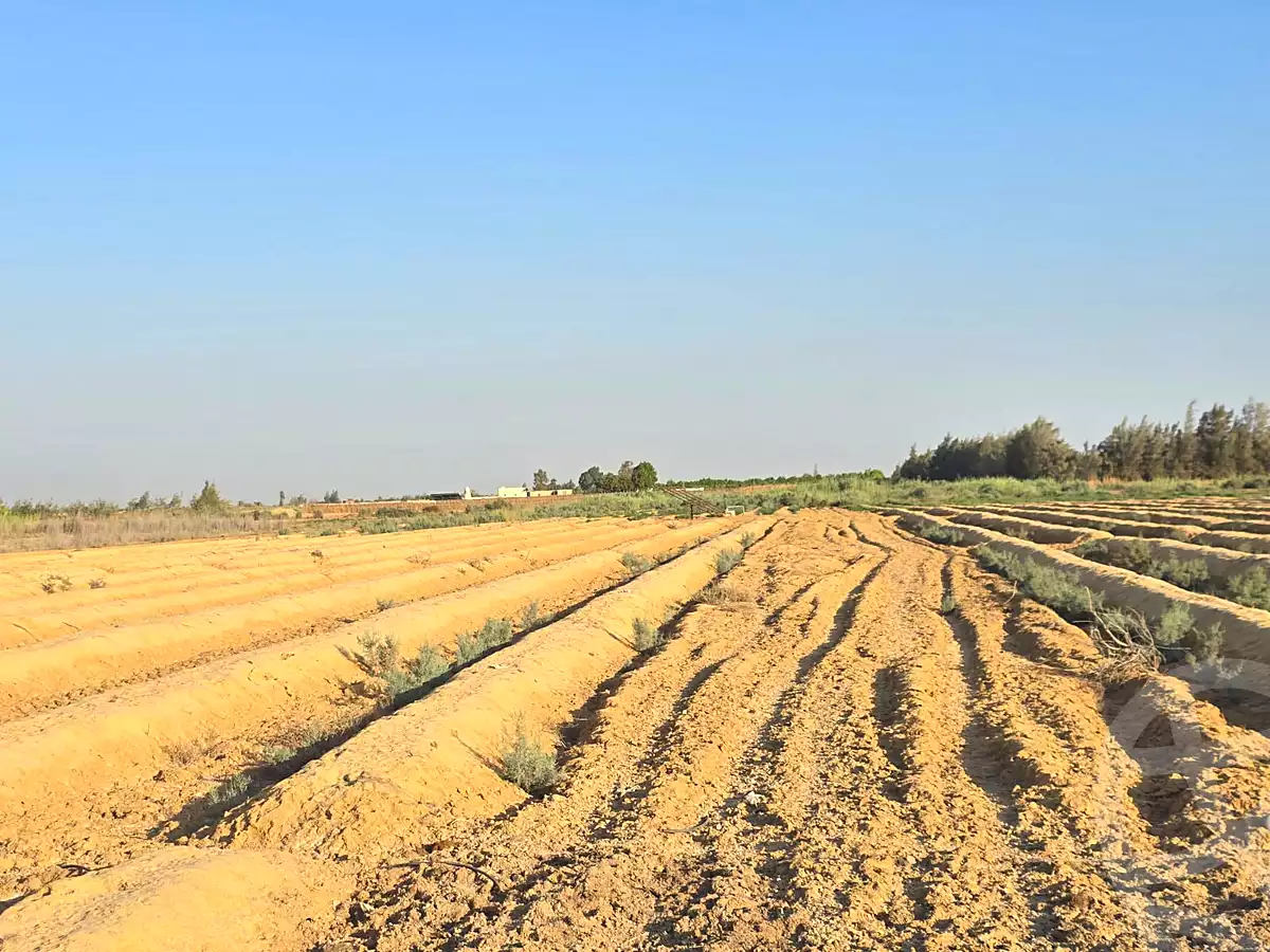 https://aqarmap.com.eg/en/listing/7267640-for-sale-beheira-wadi-el-natrun-el-safa-village-and-el-marwa